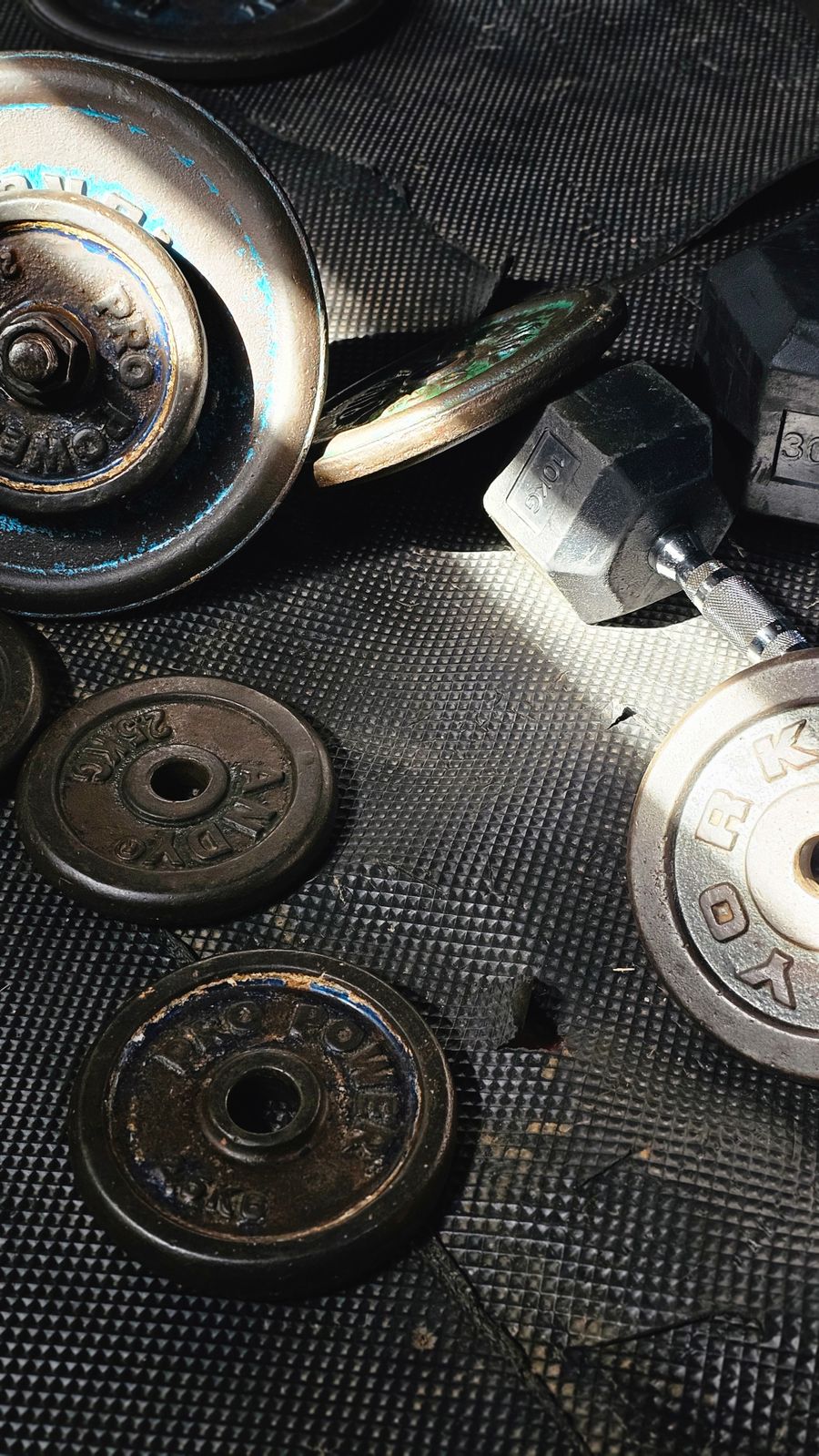 Halterschijven en dumbbells op een rubberen gymvloer